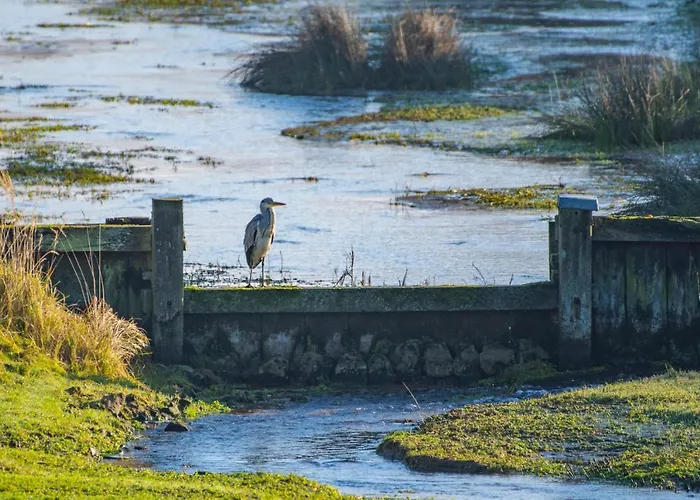 Appartement Seabird