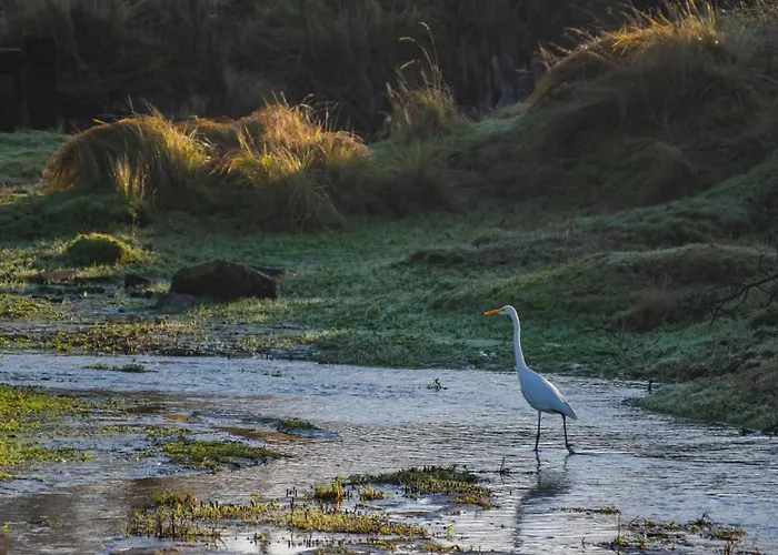 Appartement Seabird